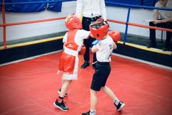 Информация о развитии бокса в Ставропольском крае